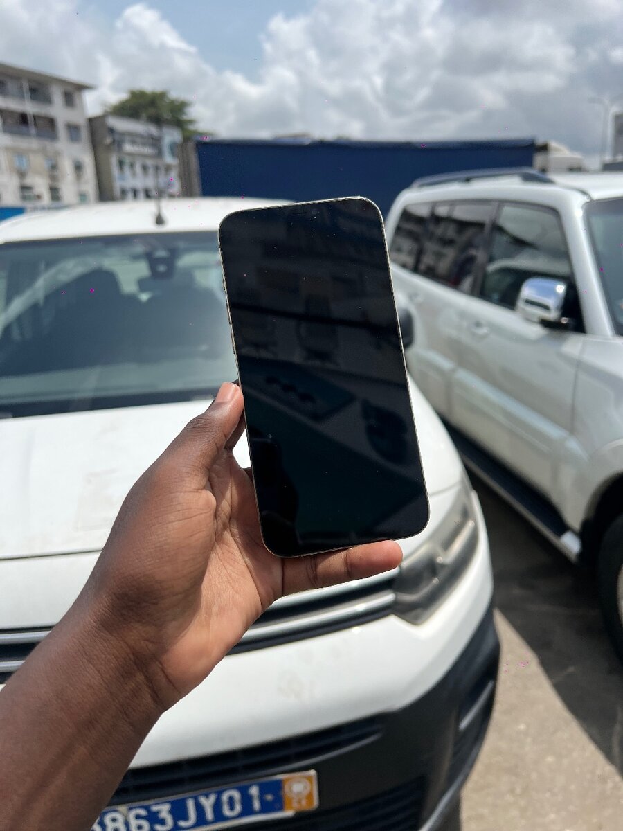 IPHONE 12Pro MAX Tout est ok