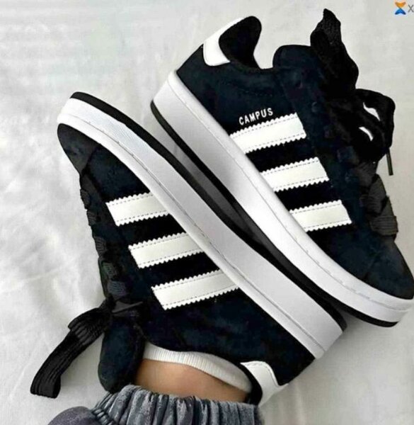 Baskets Adidas Campus