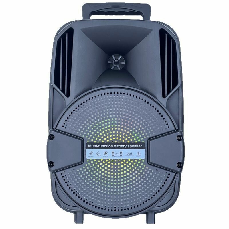 Haut parleurs 8 pouces recharg