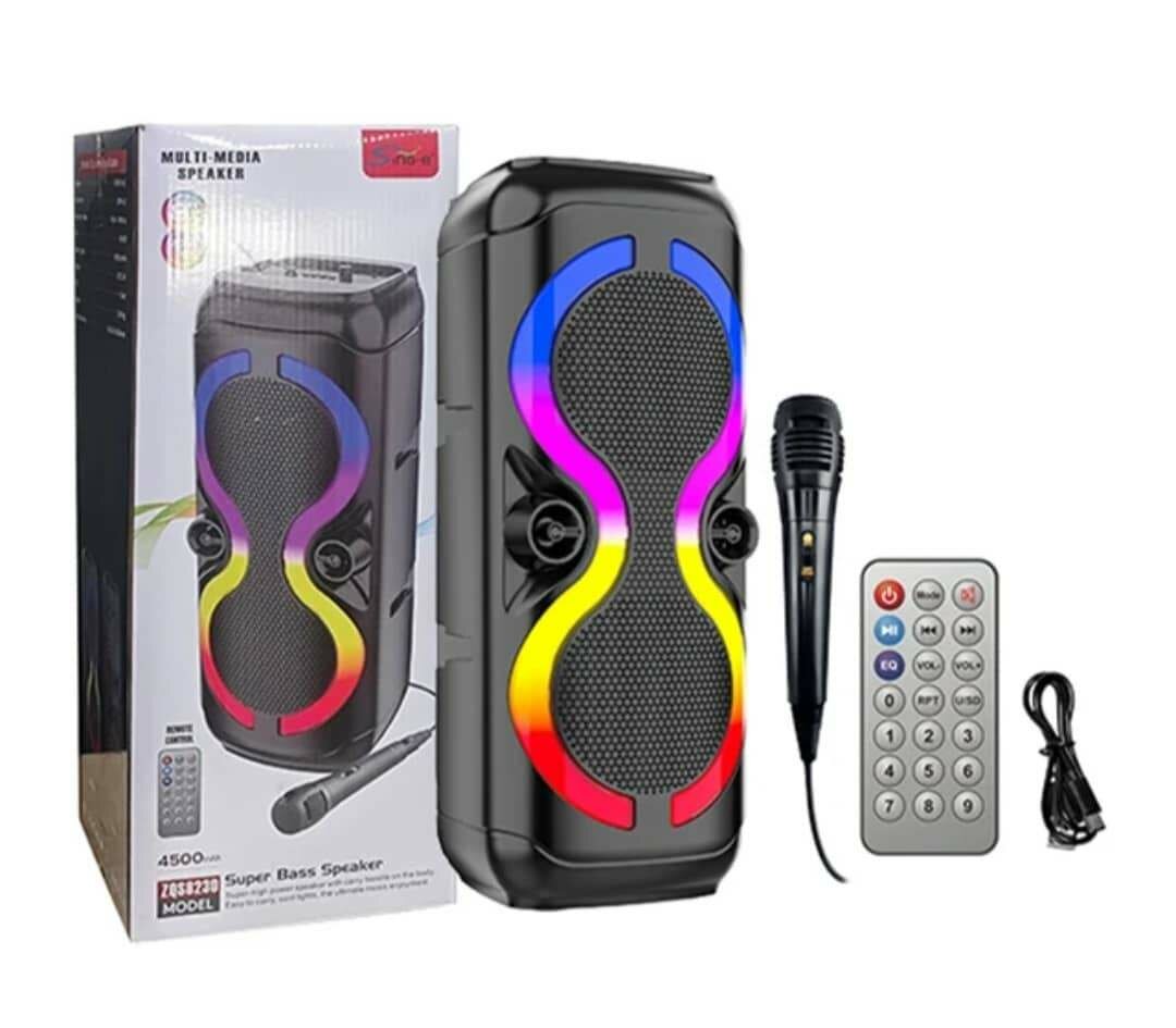 Haut-parleur Bluetooth sans fil