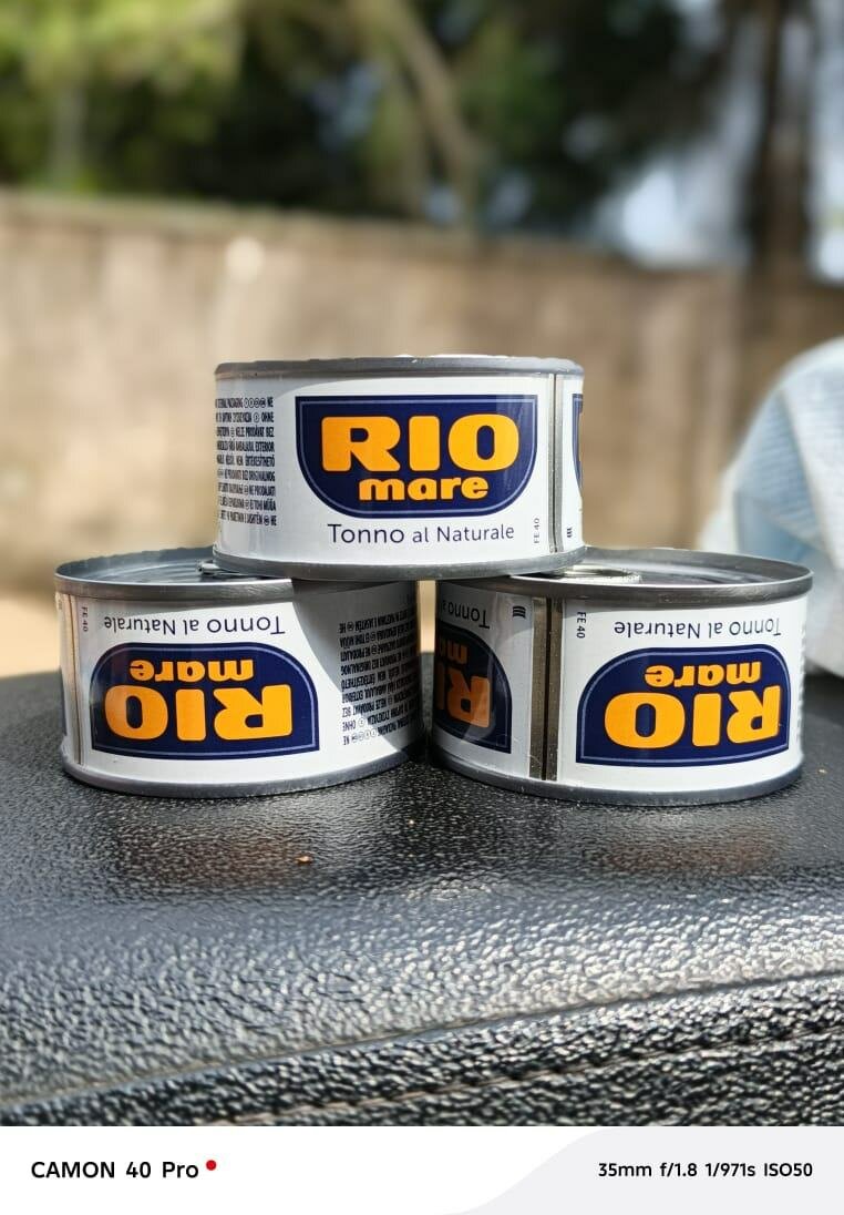 Conserve de thon en boîte - Rio Mare et 5 Oceans