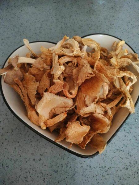Dried mushrooms per 100g