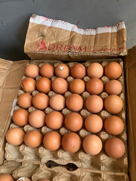 Œufs frais fermiers