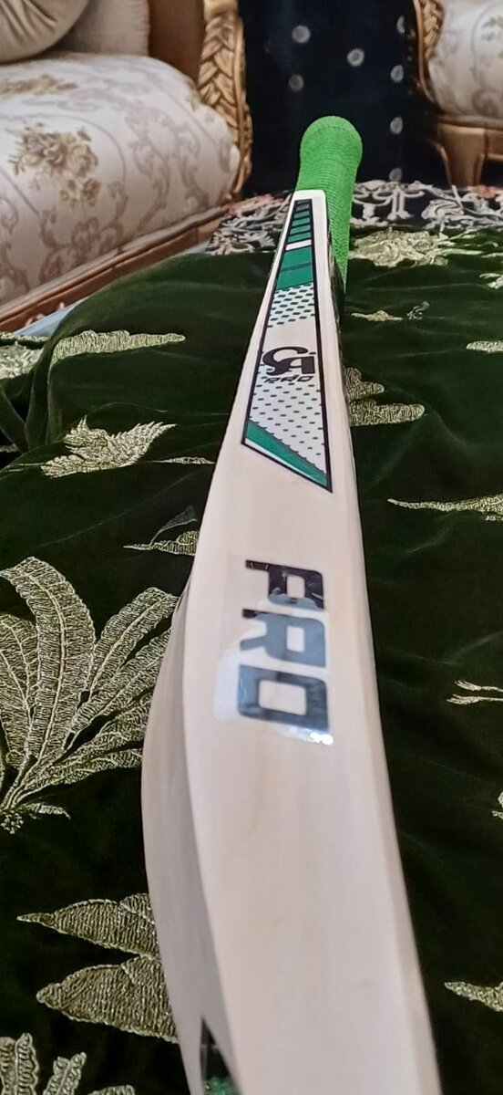 CA pro 1.1 hard ball bat