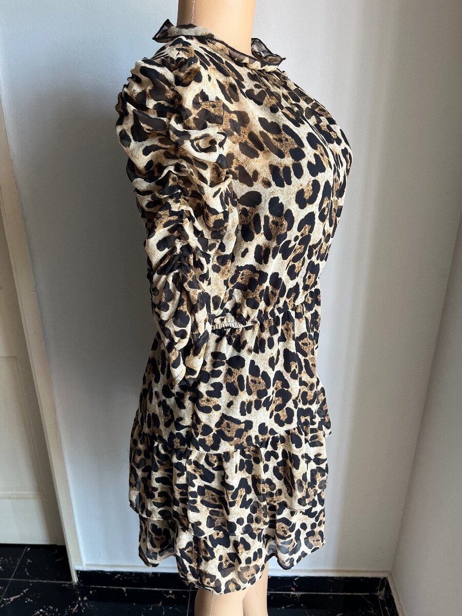 The leopard dress