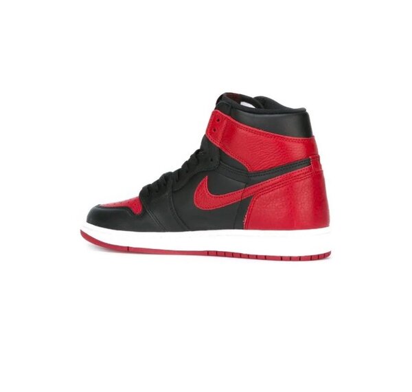 Jordan 1 high dunk