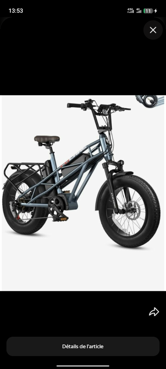 Vélo électrique tout-terrain