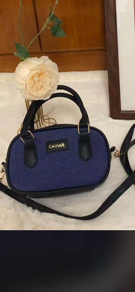 Sacs à main élégants en toile et cuir