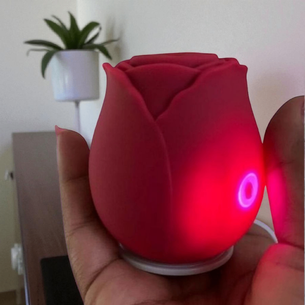 Sextoys Clito et Sein SN22