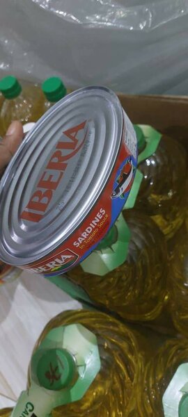 Iberia and Sol-mex mackerels