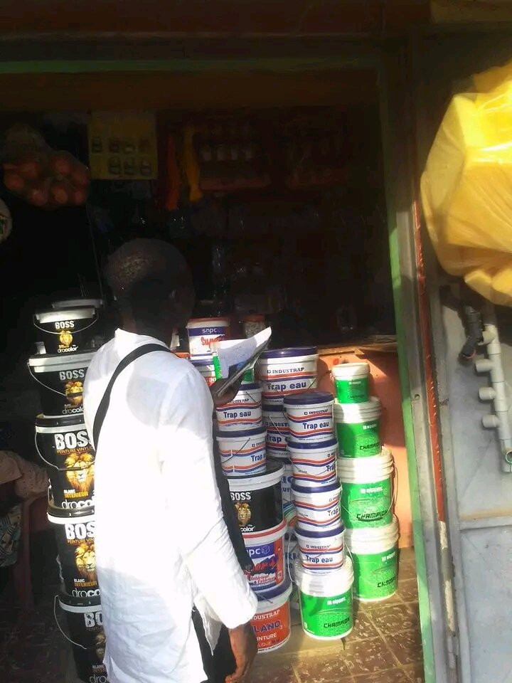 Peinture murale haute qualité