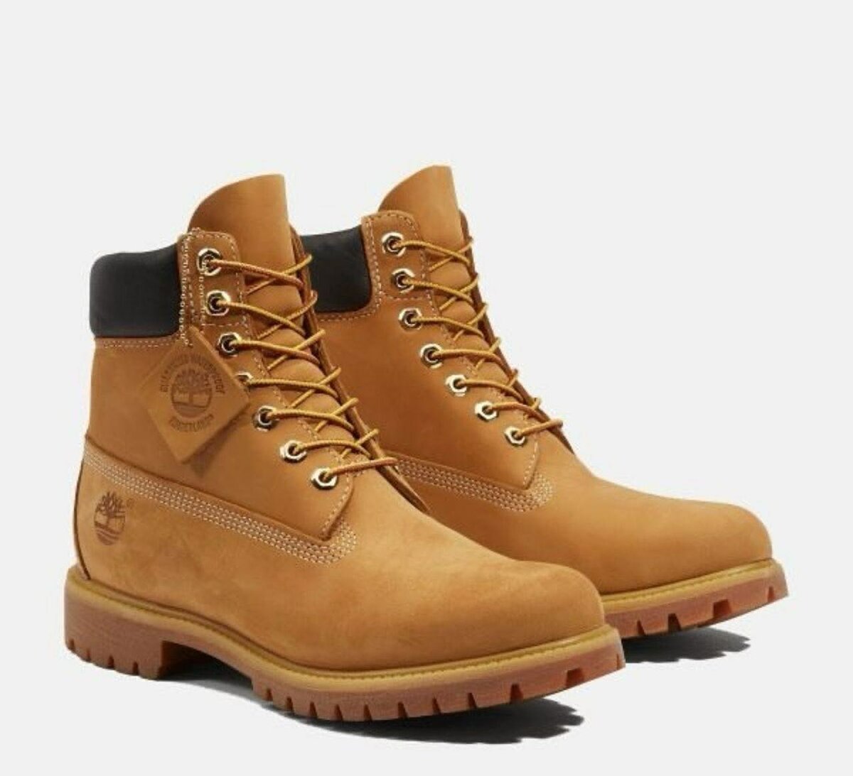 Timberland