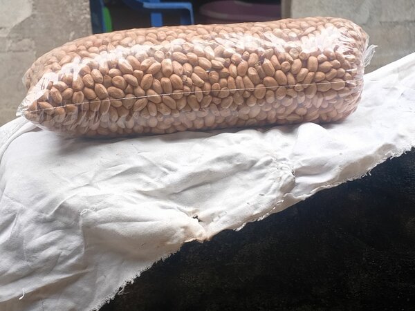 Cacahuètes grillées croquantes