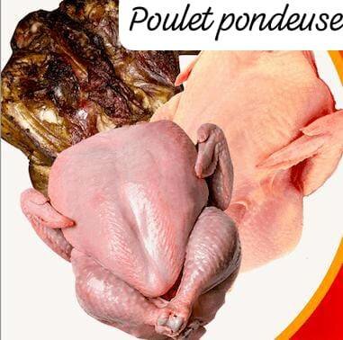 Pondeuses fraîches et fumées