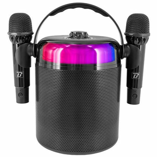 Enceinte Karaoké Portable avec Microphones