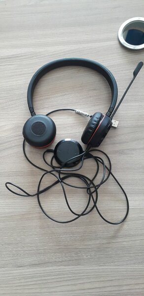 Casque Jabra Evolve