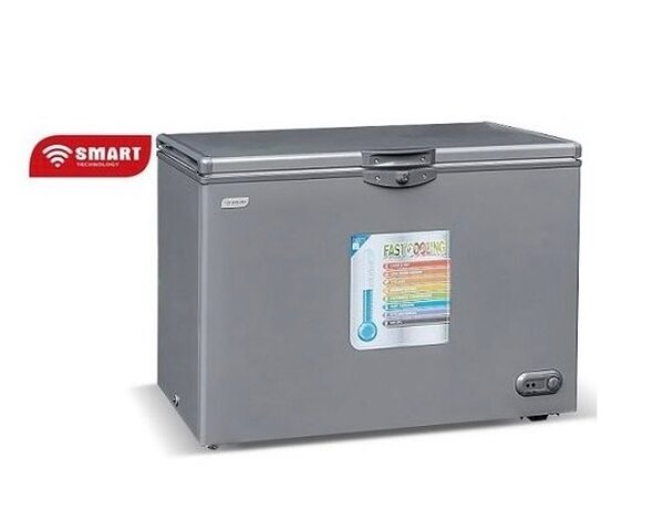 Congélateur Armoire Smart