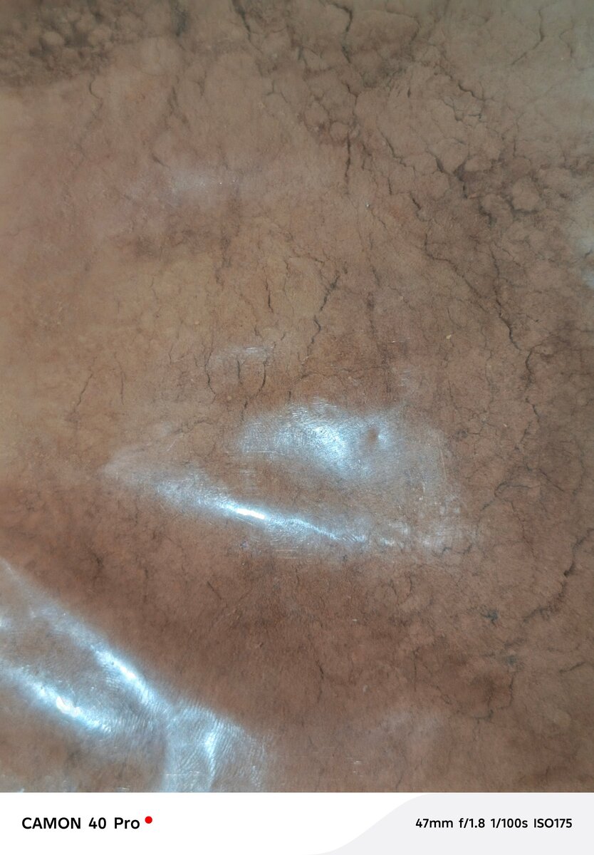 Assortiment de noix savoureuses