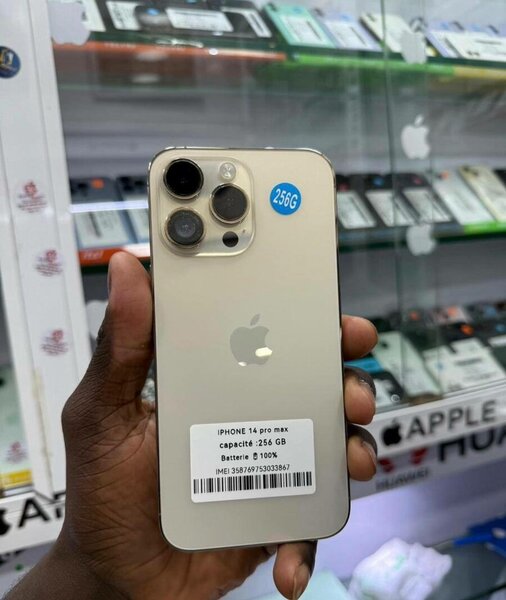iPhone 14 Pro Max 256 Go