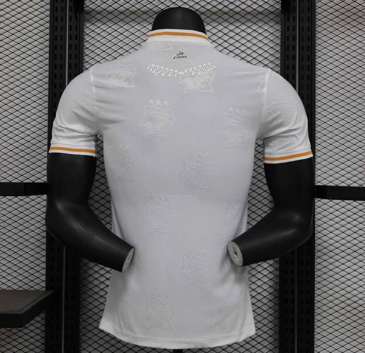 Maillot Côte d'Ivoire Puma