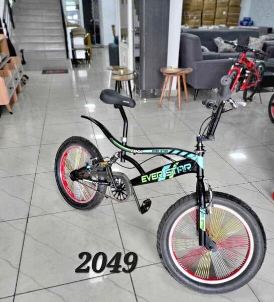 Vélo enfant EVERSTAR - Modèle 2049