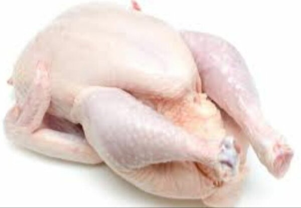 Poulets de chair frais
