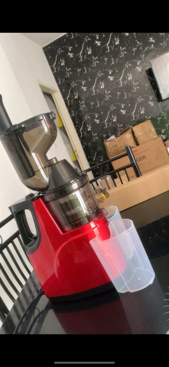 Extracteur de Jus Puissant