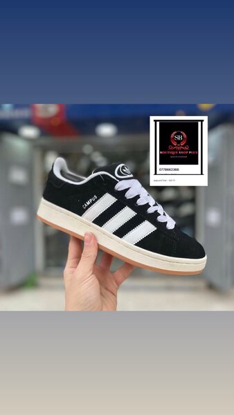 BASKET ADIDAS campus authentique avec sa boîte