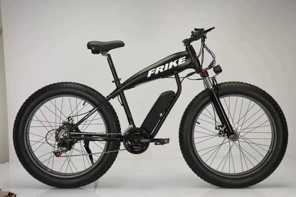 Electric fat tire bicycle