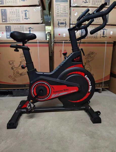 Vélo d'Appartement Fitness