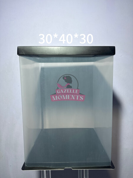 Boîte de Rangement Transparente