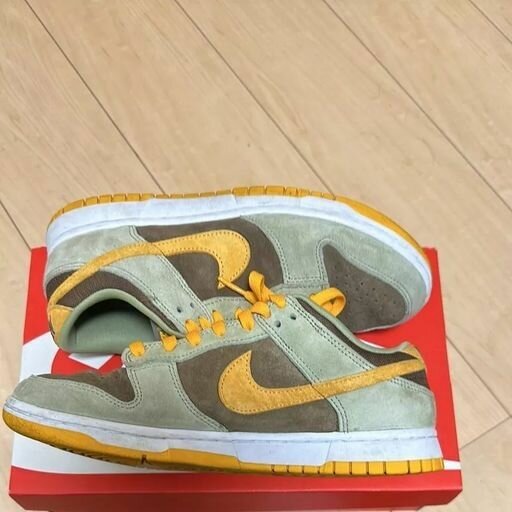 Nike Air Dunk Low (Olive Green)