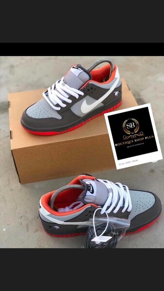 Basket nike Sb authentique avec sa boîte