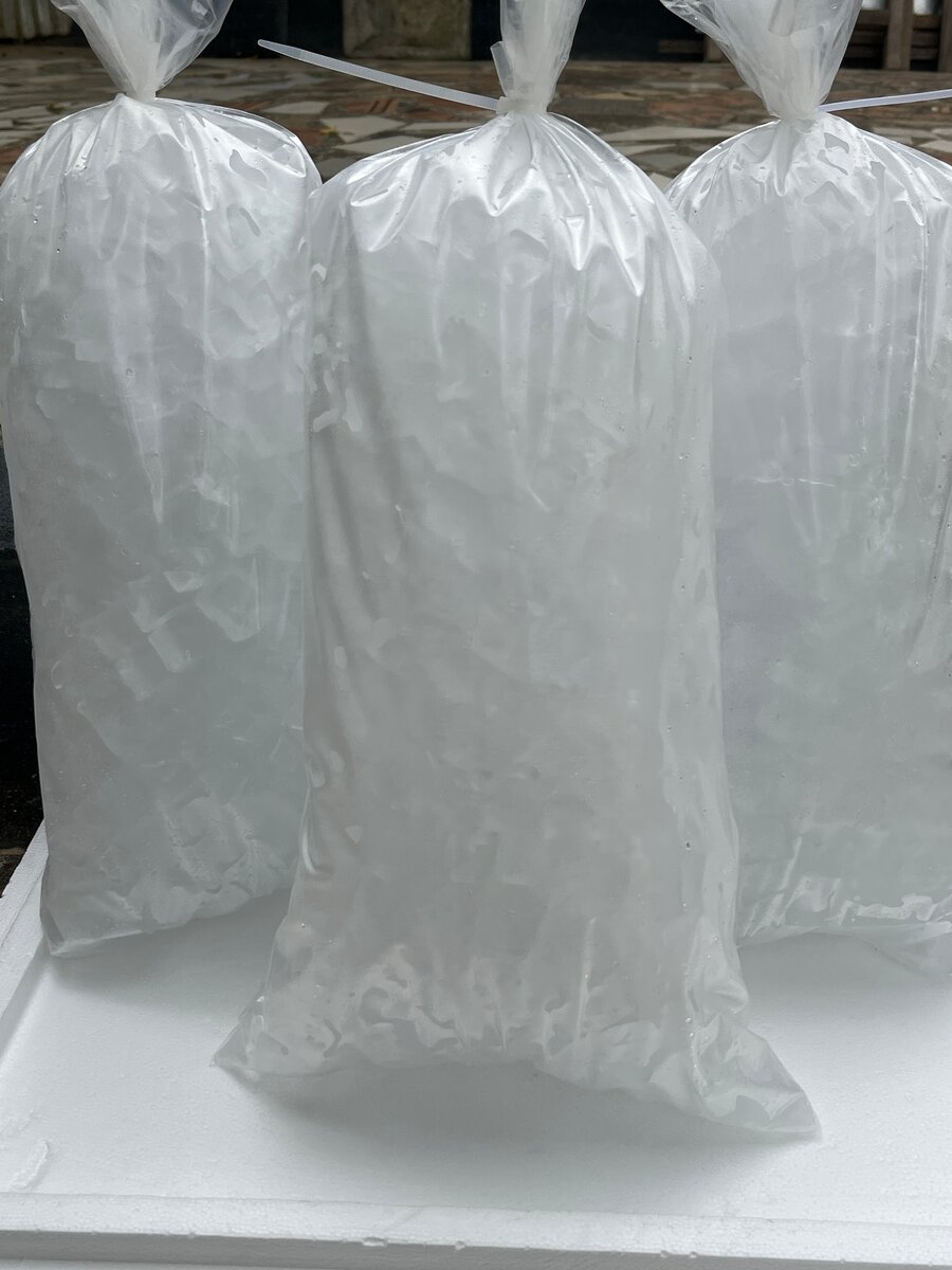 Sachet glace alimentaire 5kg