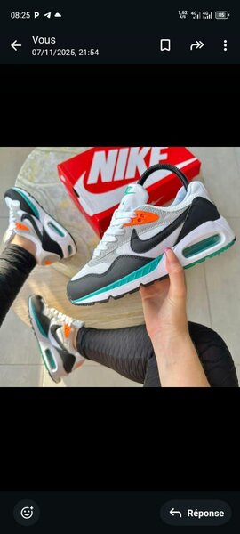 Baskets Nike Air Max