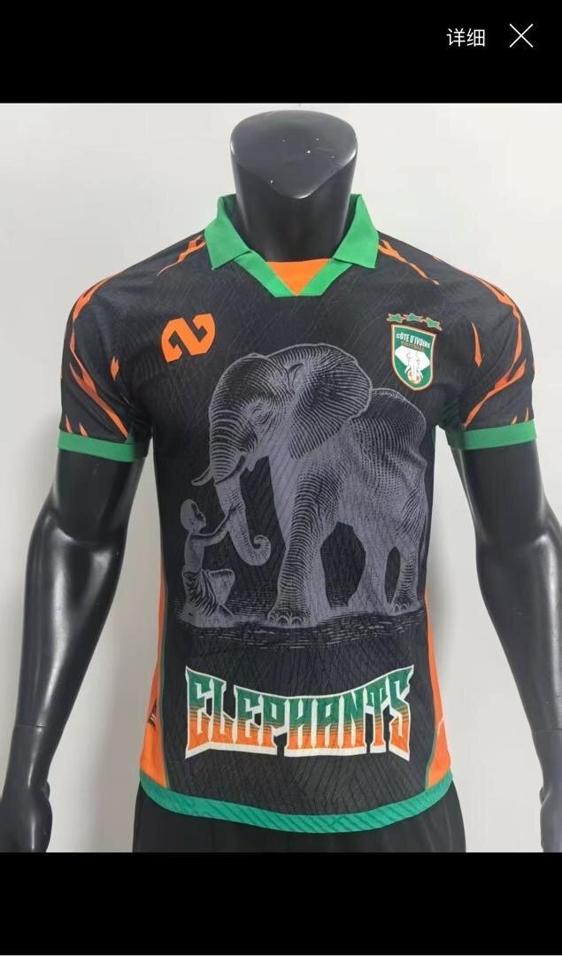 Maillot Côte d'Ivoire Éléphants