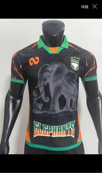 Maillot Côte d'Ivoire Éléphants