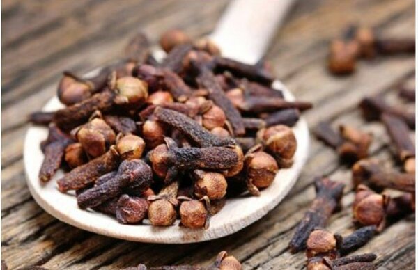 Clous de girofle entiers premium
