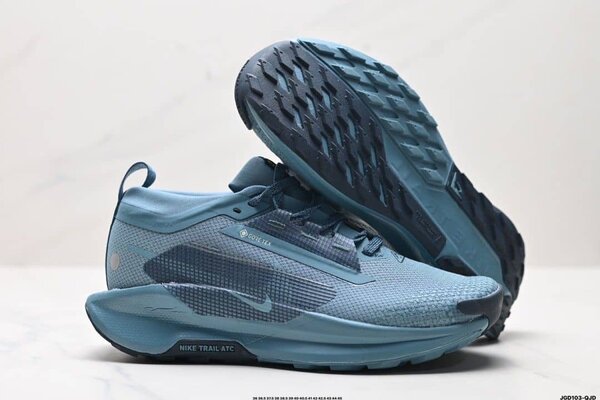 Nike Trail GTX Baskets Bleu