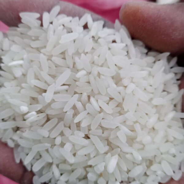 Riz Blanc de Qualité Supérieure