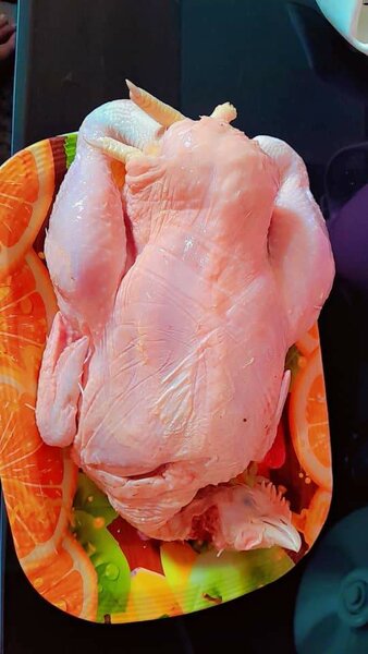 Poulet de Chair Frais