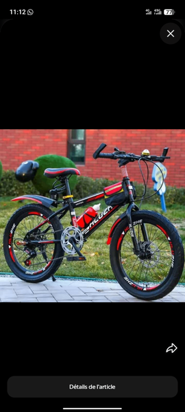 Vélo tout-terrain pliable