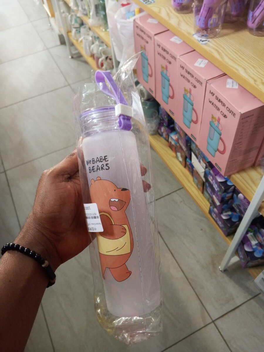 Bouteille d'eau We Bare Bears 500ml