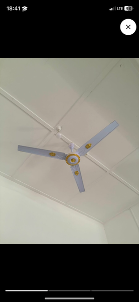 Celling fan