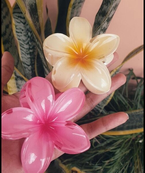 Barrette de cheveux tendance
