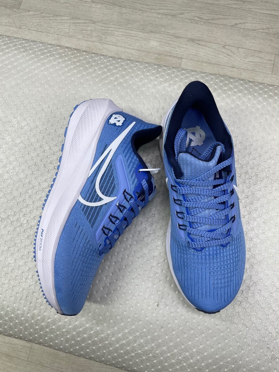 Nike pegasus39