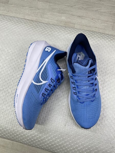Nike pegasus39