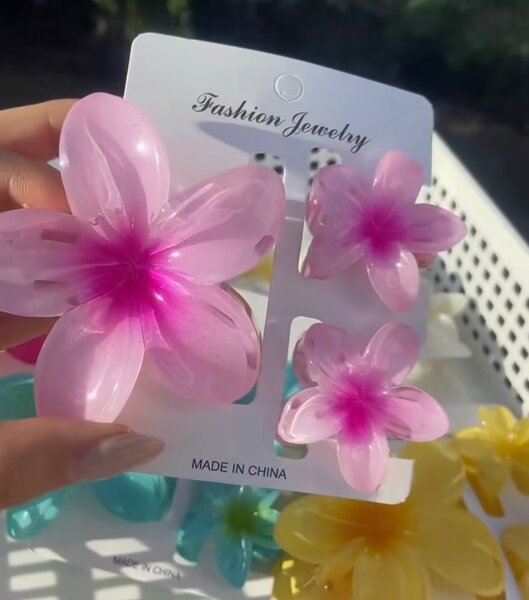 Pinces à cheveux fleurs colorées