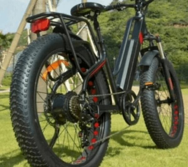 Vélo Électrique Tout Terrain