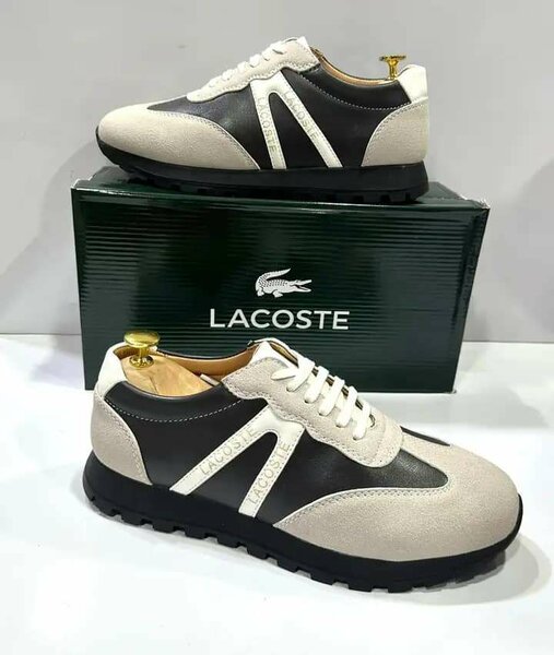 Baskets Homme Lacoste Élégantes